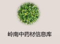 岭南中药材信息库初步建设